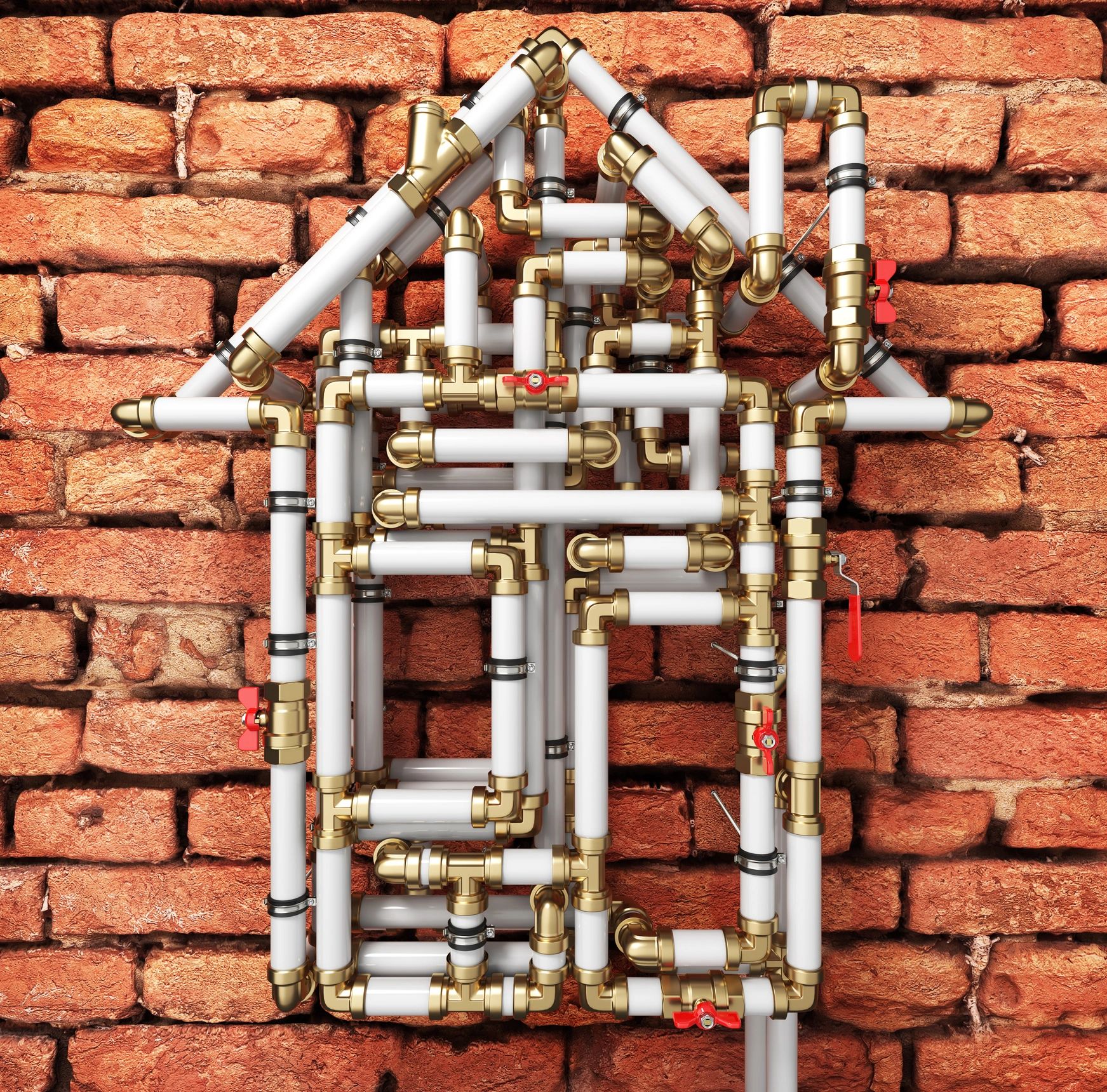 Happy homeowner